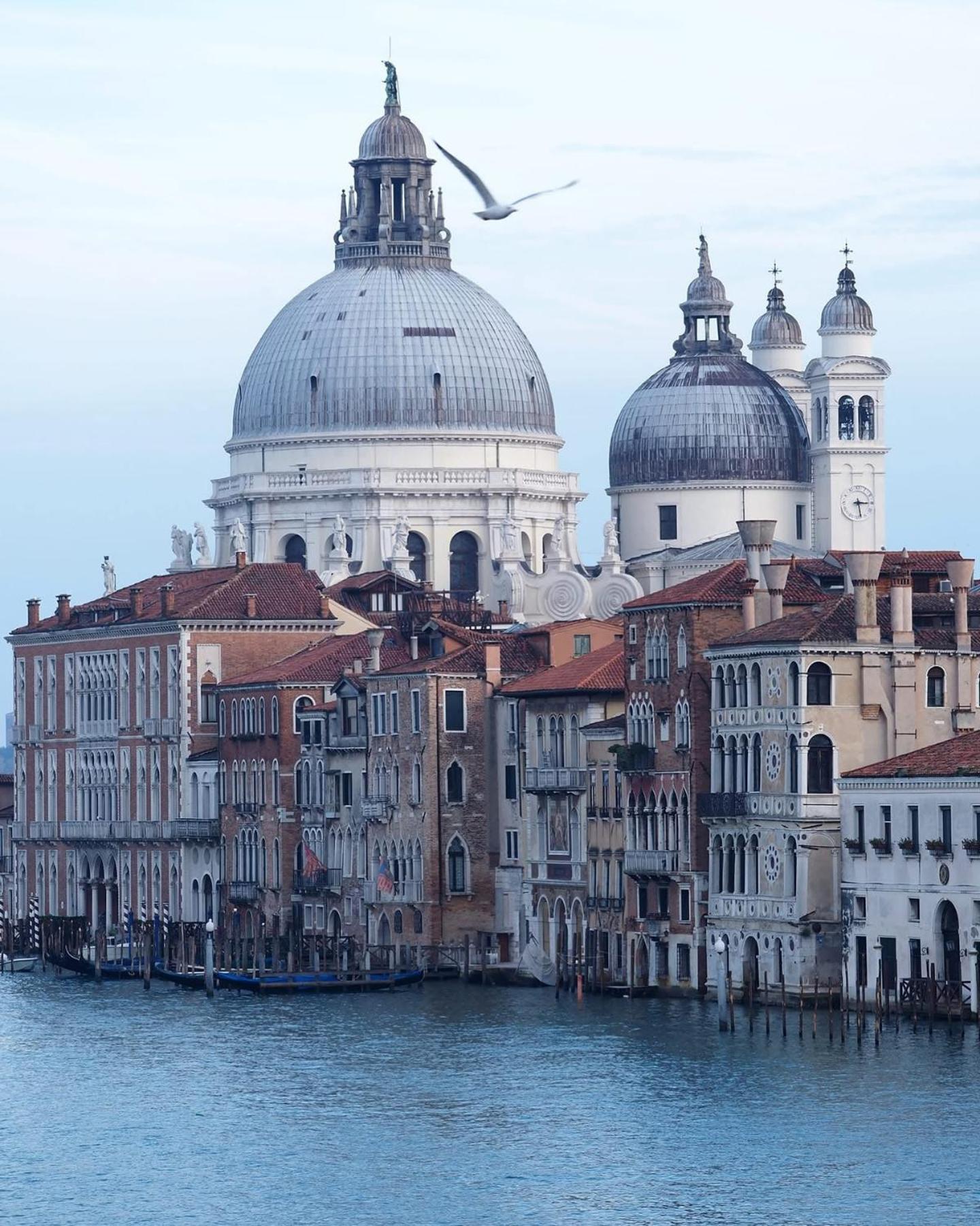 Hotel President Venezia Mestre Eksteriør billede